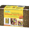 sunflower-seed